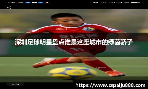 必一运动b-sports官网